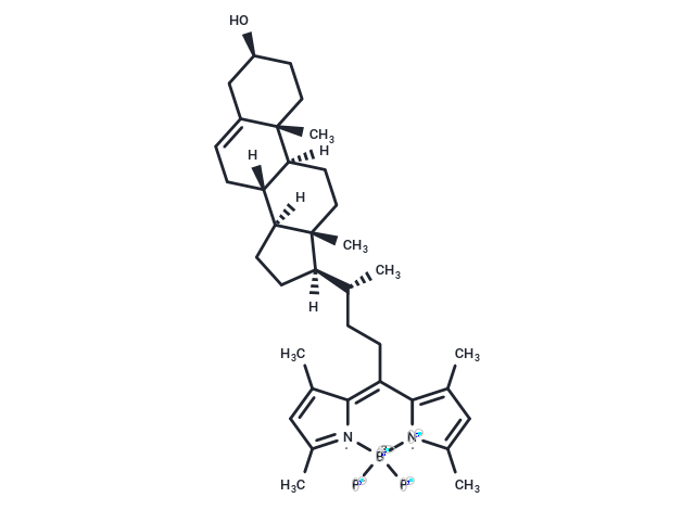 TargetMol Chemical Structure BODIPY-Cholesterol
