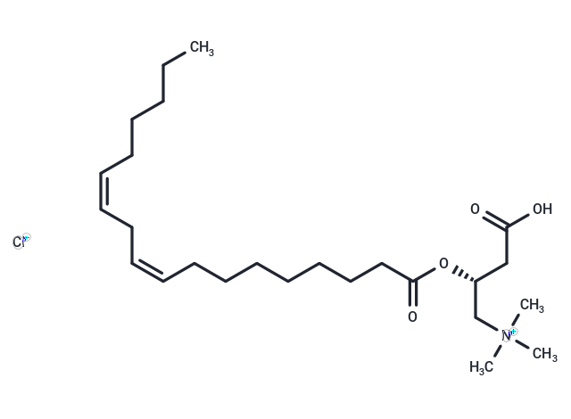 Linoleoyl-L-carnitine (chloride) Chemical Structure
