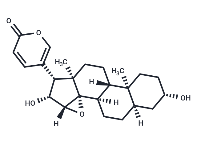 Desacetylcinobufagin Chemical Structure