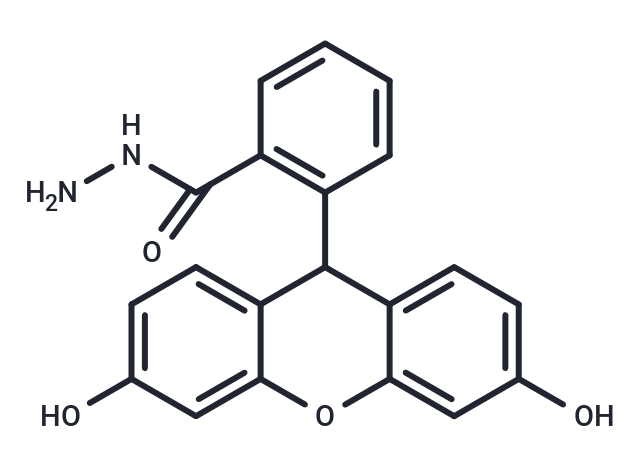 TargetMol Chemical Structure Fluorescein hydrazide