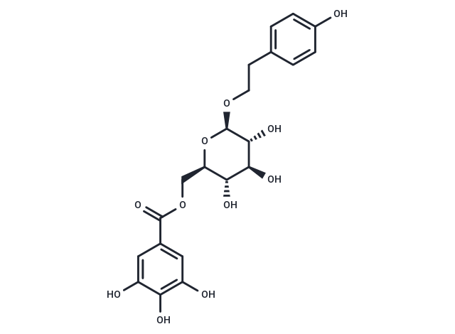 6'-O-Galloylsalidroside Chemical Structure