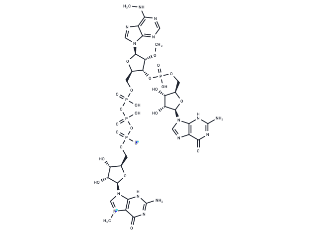 m7Gpppm6AmpG Chemical Structure