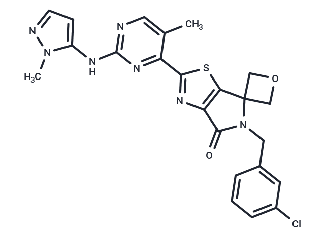ERK1/2 inhibitor 8 Chemical Structure