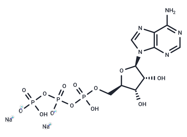 ATP disodium salt | P2X Receptor | Endogenous Metabolite | TargetMol
