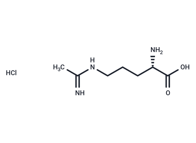L-NIO dihydrochloride Chemical Structure