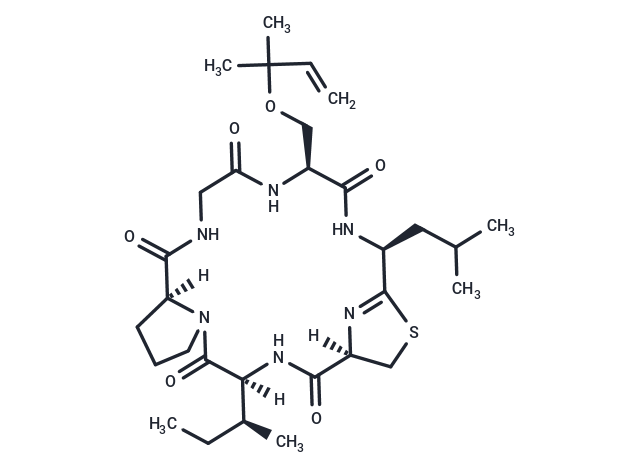 Keenamide A Chemical Structure