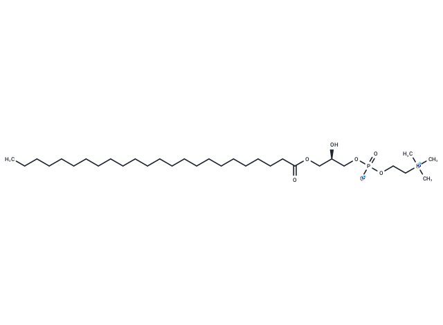 24:0 Lyso PC Chemical Structure