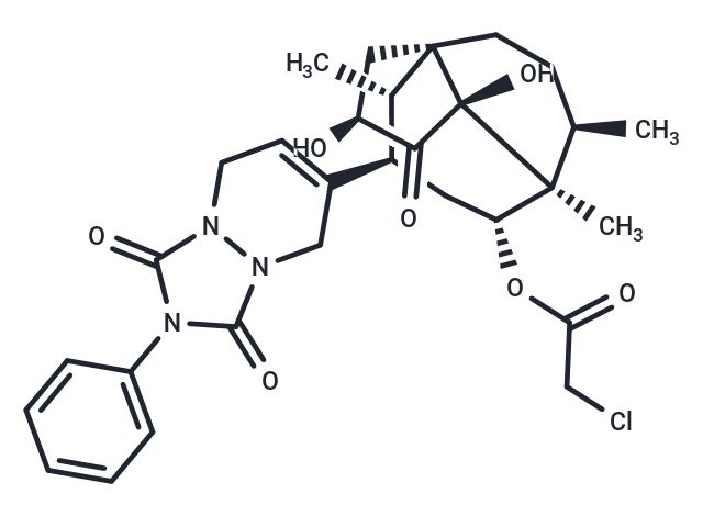 Ferroptocide Chemical Structure