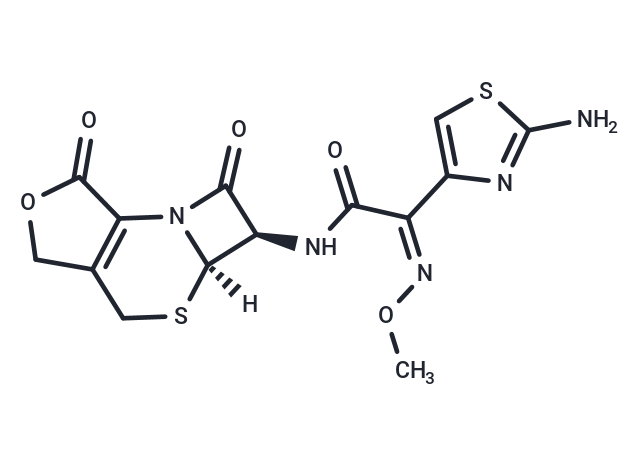 3-Desacetyl Cefotaxime lactone Chemical Structure