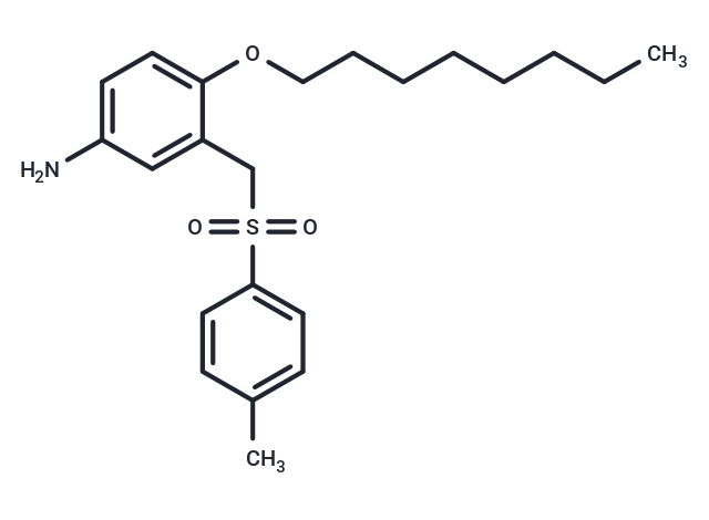 m-Toluidine, 4-(octyloxy)-alpha-(p-tolylsulfonyl)- Chemical Structure