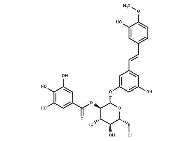 Rhaponticin 2′′-O-gallate Chemical Structure