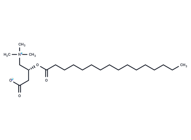 L-Palmitoylcarnitine Chemical Structure