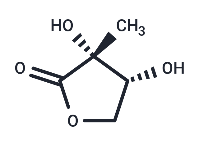 2-C-Methyl-D-erythrono-1,4-lactone Chemical Structure