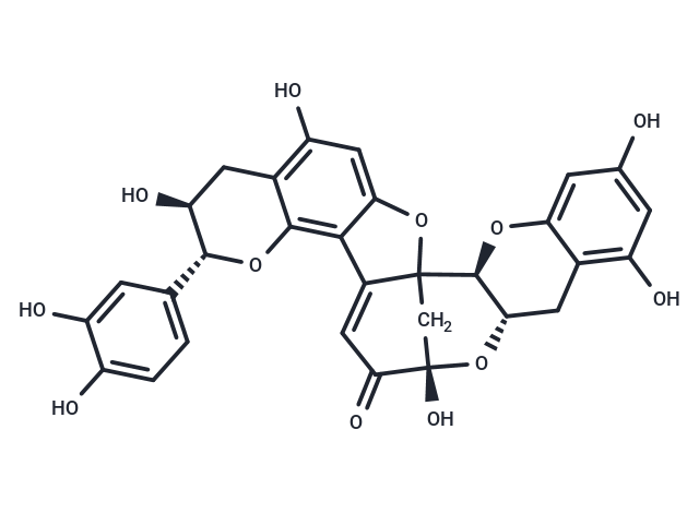 Dehydrodicatechin A Chemical Structure