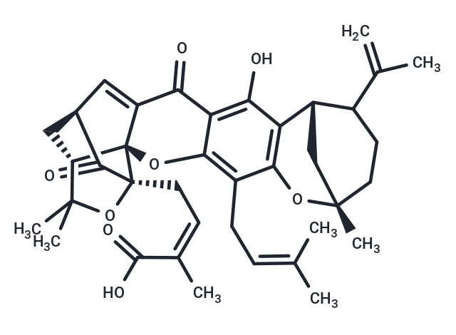Epigambogellic acid Chemical Structure