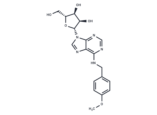 N6-(p-Methoxybenzyl)adenosine Chemical Structure