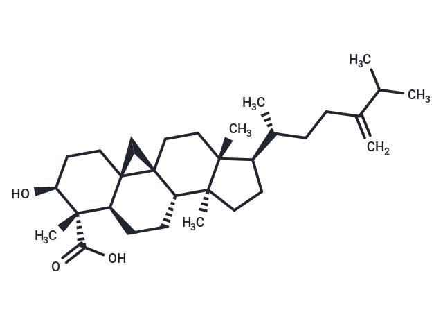 1-Dehydroxy-23-deoxojessic acid Chemical Structure