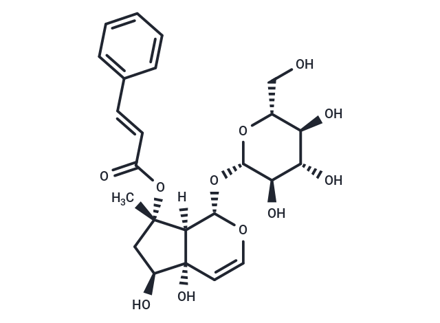 TargetMol Chemical Structure 6-Epiharpagoside