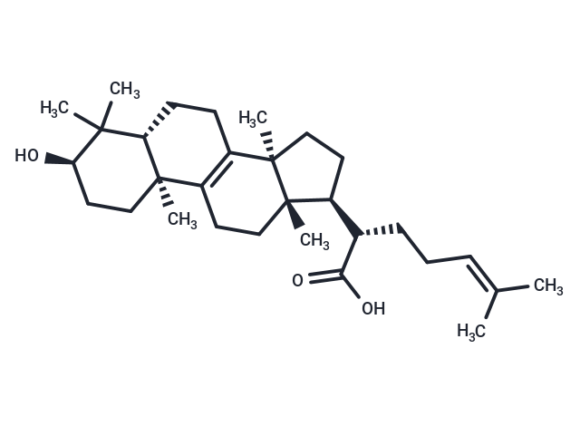 a,b-Elemolic acid Chemical Structure