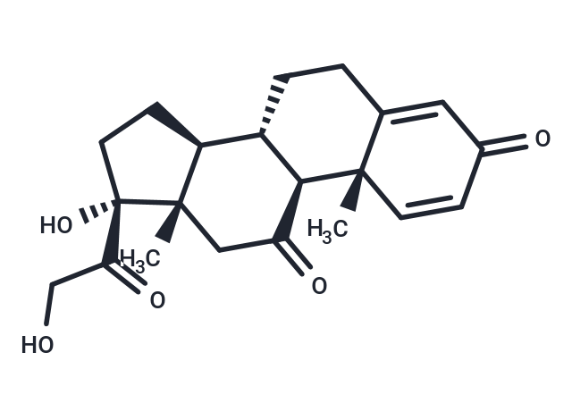 TargetMol Chemical Structure Prednisone