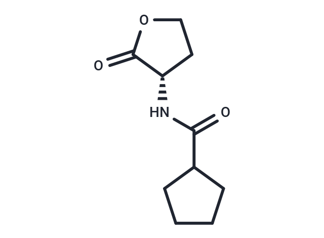 RhlR Agonist S4 Chemical Structure