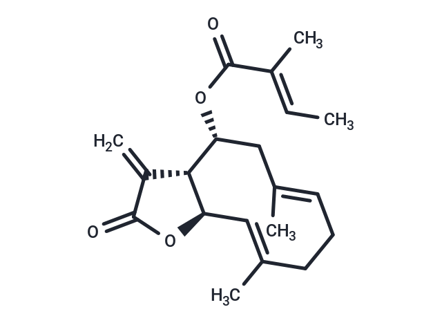 8beta-Tigloyloxycostunolide Chemical Structure
