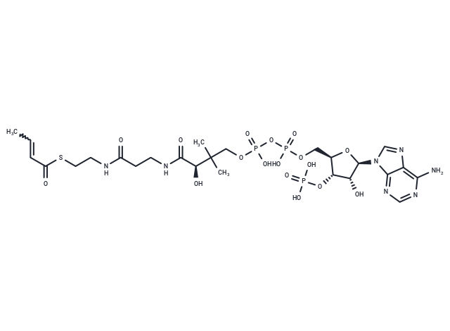 Crotonyl-CoA Chemical Structure