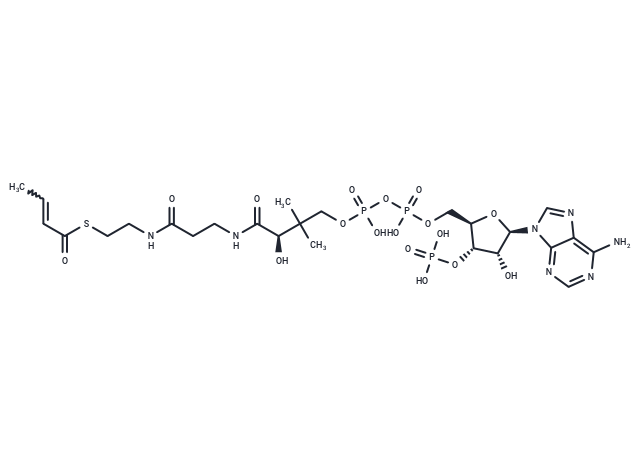 Crotonyl-CoA | Inhibitor | TargetMol