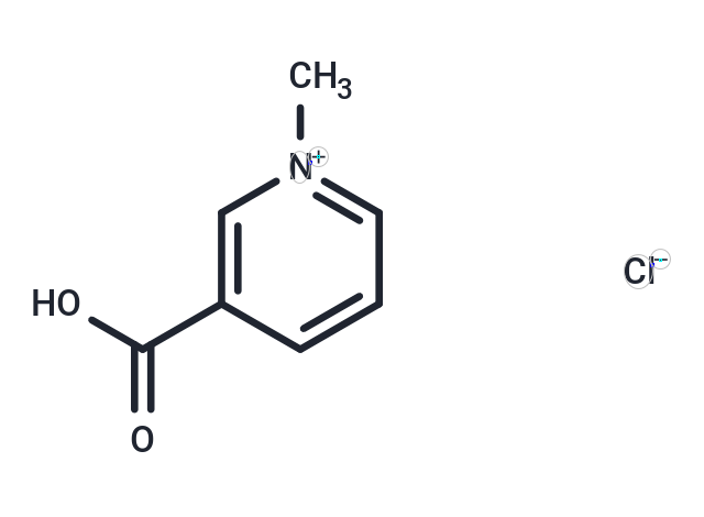 Trigonelline chloride Chemical Structure