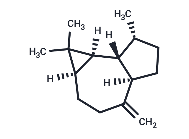 TargetMol Chemical Structure (+)-Aromadendrene