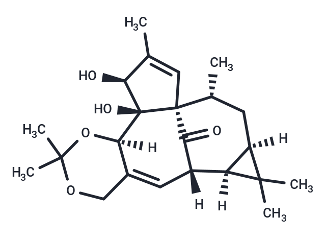 TargetMol Chemical Structure Ingenol-5,20-acetonide