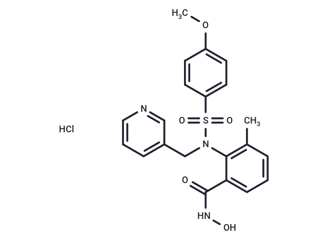 WAY-151693 Chemical Structure