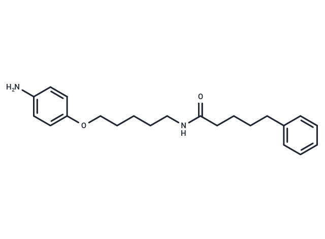 Valeramide, N-(5-(p-aminophenoxy)pentyl)-5-phenyl- Chemical Structure