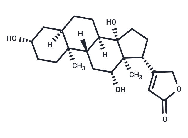 Digoxigenin Chemical Structure