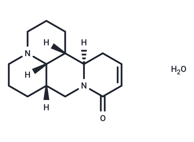 Sophocarpine monohydrate Chemical Structure