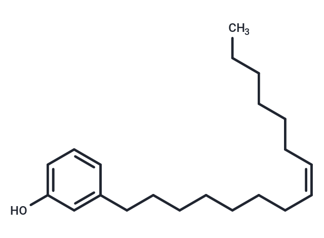 Cardanol (C15:1) Chemical Structure