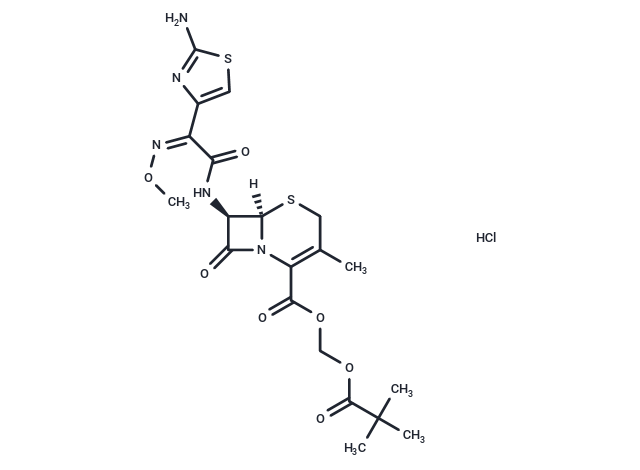 TargetMol Chemical Structure Cefetamet pivoxil hydrochloride