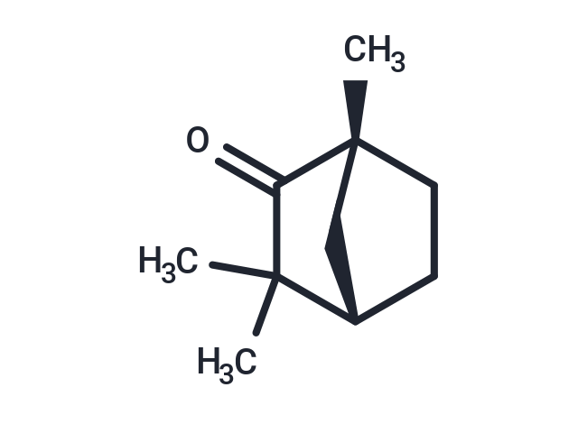 (-)-Fenchone Chemical Structure
