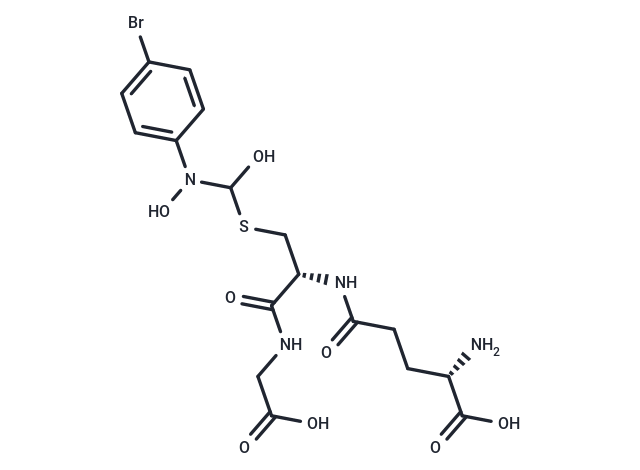 HBPC–GSH Chemical Structure