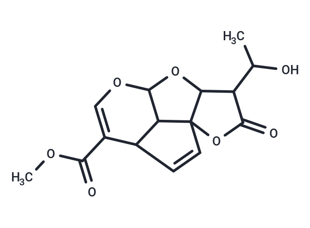 Allamandicin Chemical Structure