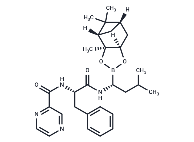Bortezomib-pinanediol Chemical Structure