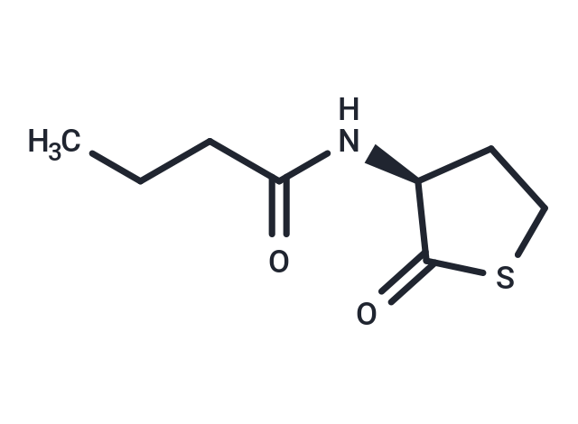 N-butyryl-L-Homocysteine thiolactone Chemical Structure