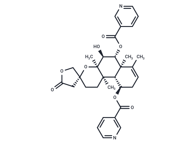 6-O-Nicotinoylscutebarbatine G Chemical Structure