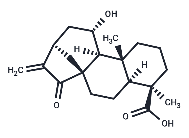 TargetMol Chemical Structure ent-11alpha-Hydroxy-15-oxokaur-16-en-19-oic acid
