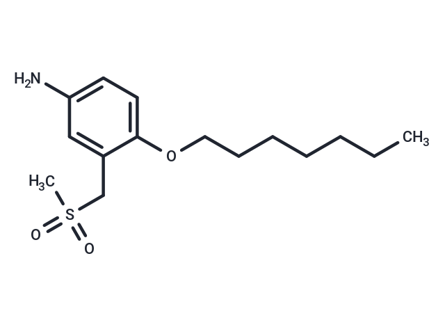 m-Toluidine, 4-(heptyloxy)-alpha-(methylsulfonyl)- Chemical Structure
