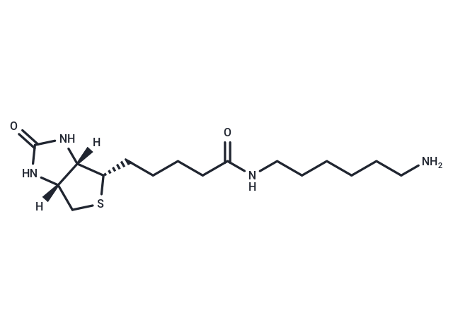 Biotinyl hexylamine Chemical Structure