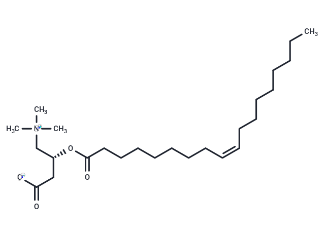 TargetMol Chemical Structure Oleoylcarnitine