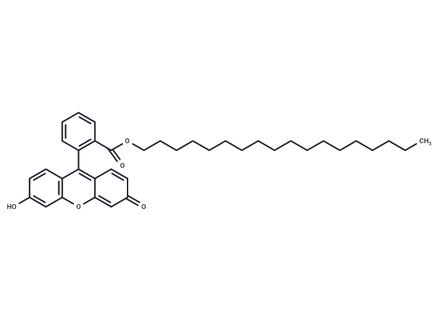 Fluorescein octadecyl ester Chemical Structure