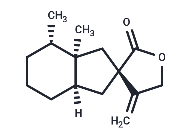 Bakkenolide A Chemical Structure