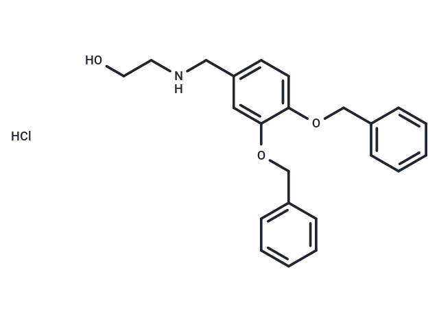 XIE62-1004 Chemical Structure